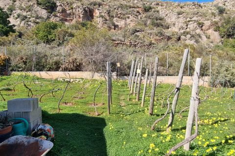 Villa i Gualchos, Granada, Gualchos - € 535.000 | Ref: 85396 - foto 44